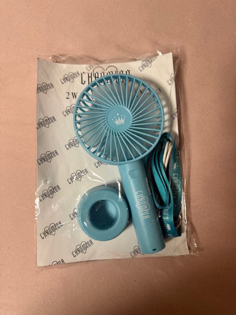 ちゃんみな過去グッズセット