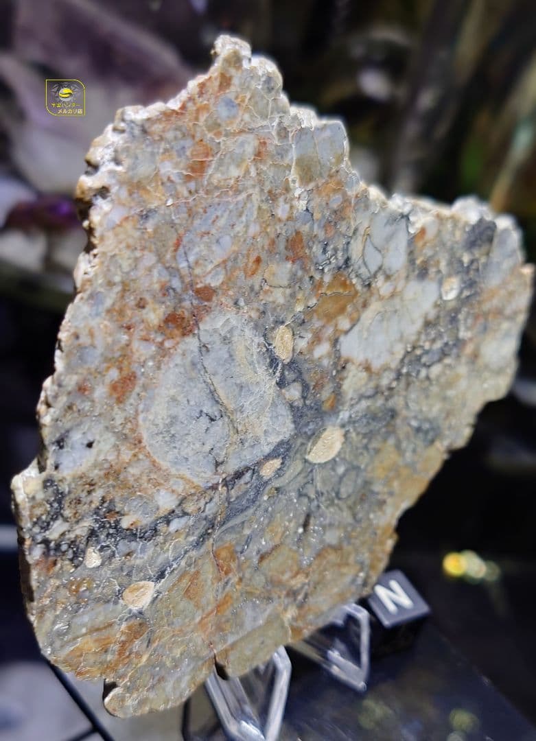 ⭐隕石 月隕石 NWA 18045 ✨ 47.3g ⭐