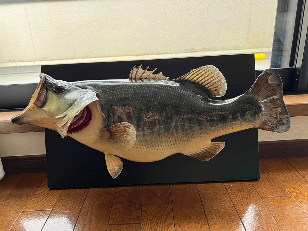 ブラックバス剥製　インテリア壁掛けタイプ