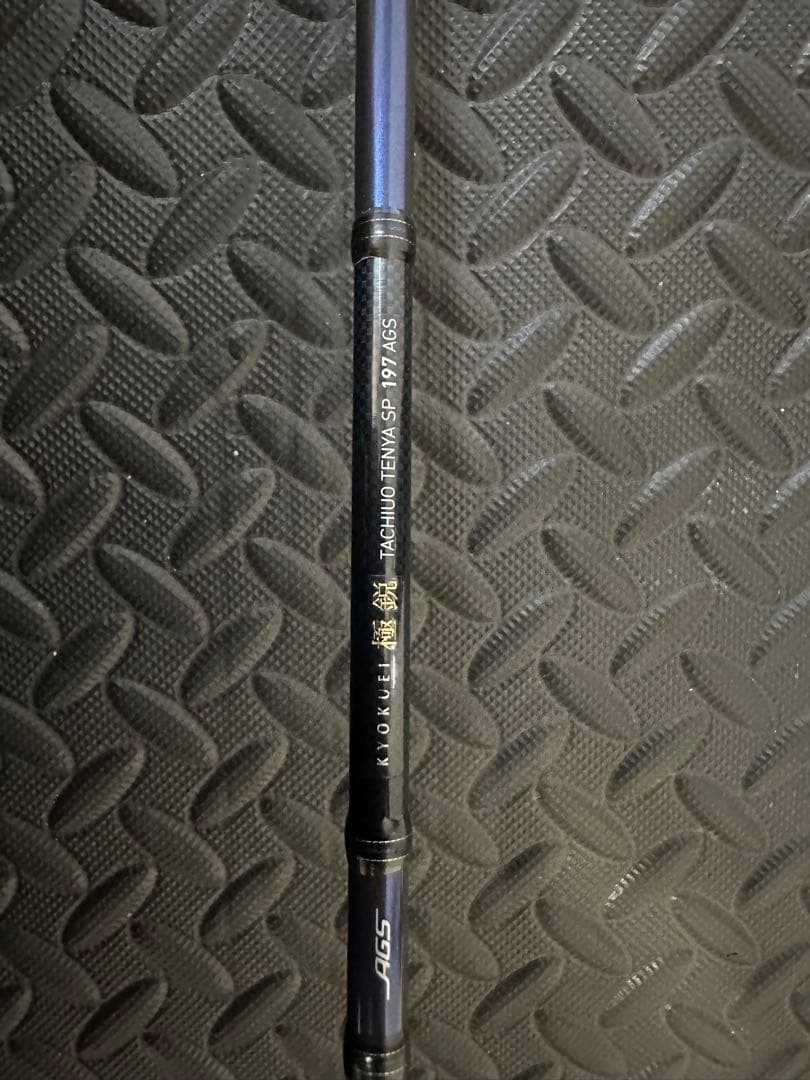 ダイワ ロッド 極鋭タチウオ テンヤSP 197 AGS タチウオ　船竿