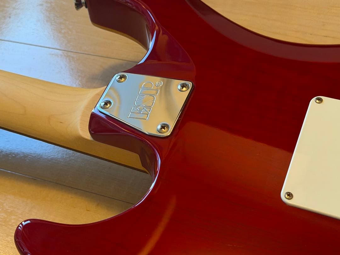 値下げ／EDWARDS E-SN-145FR／SNAPPER／ダンカンPU