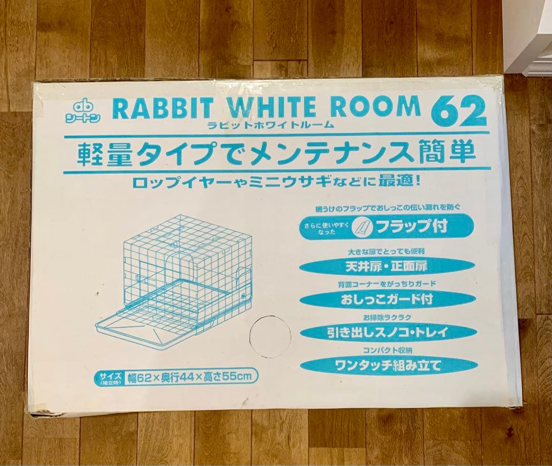 ラビットホワイトルーム62