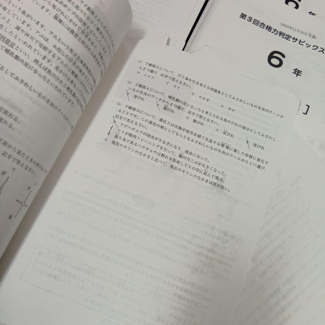 サピックス6年　2024年度版 マンスリーテスト17回　中古原本