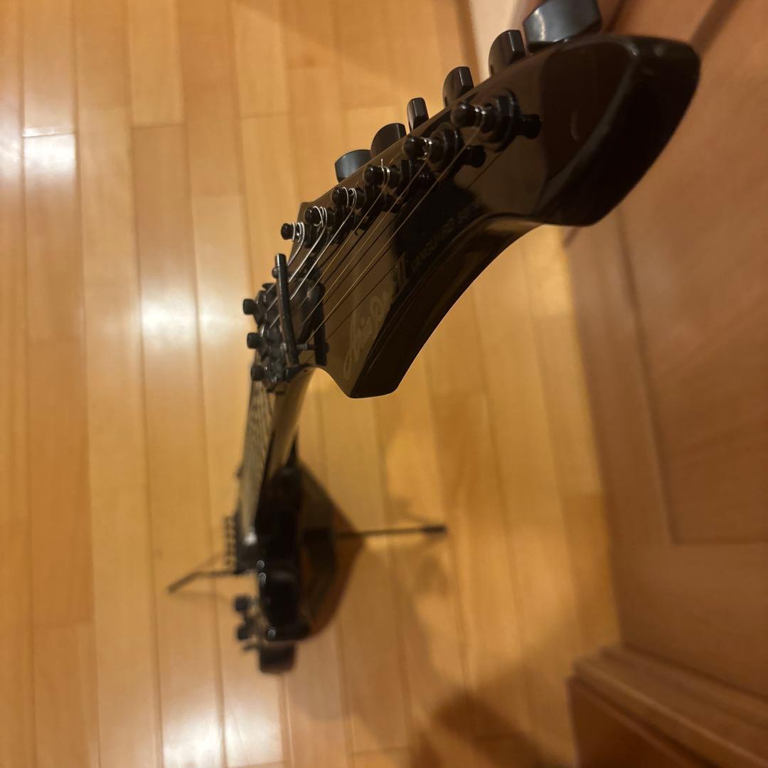 ARIA PRO II VAシリーズ ブラックパーツ仕様 トレモロアーム付