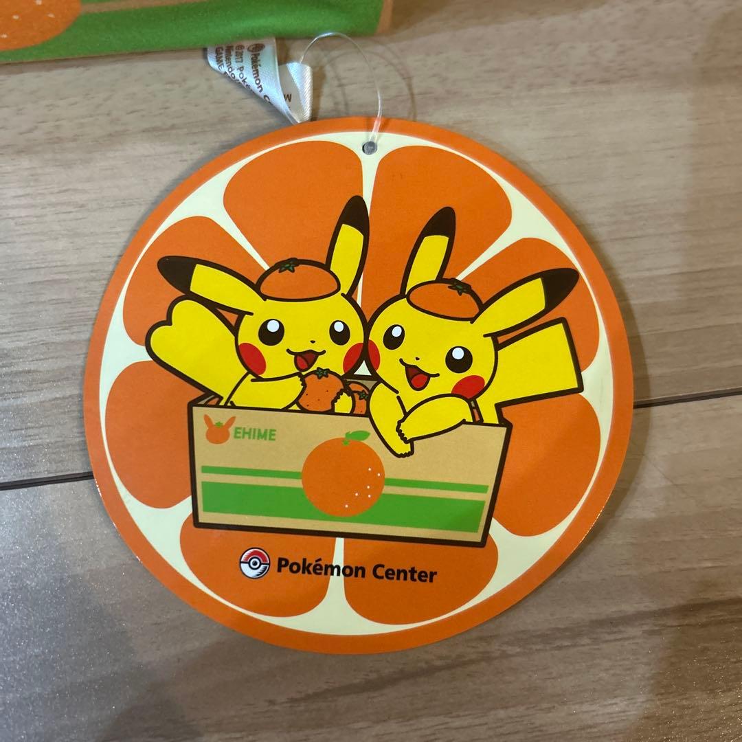 ポケモン ぬいぐるみ ピカチュウ ペアピカチュウとえひめみかん 愛媛限定