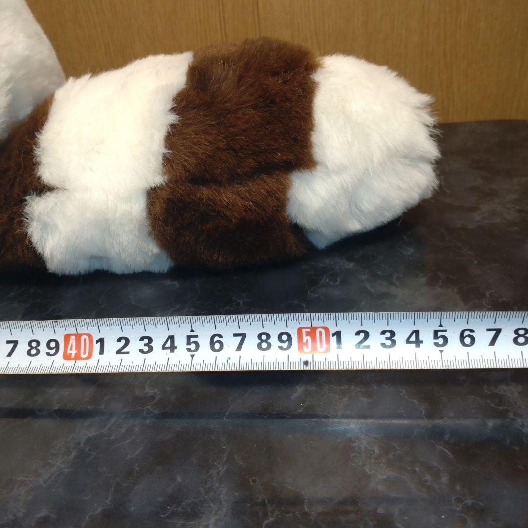 Sun Rise レッサーパンダ