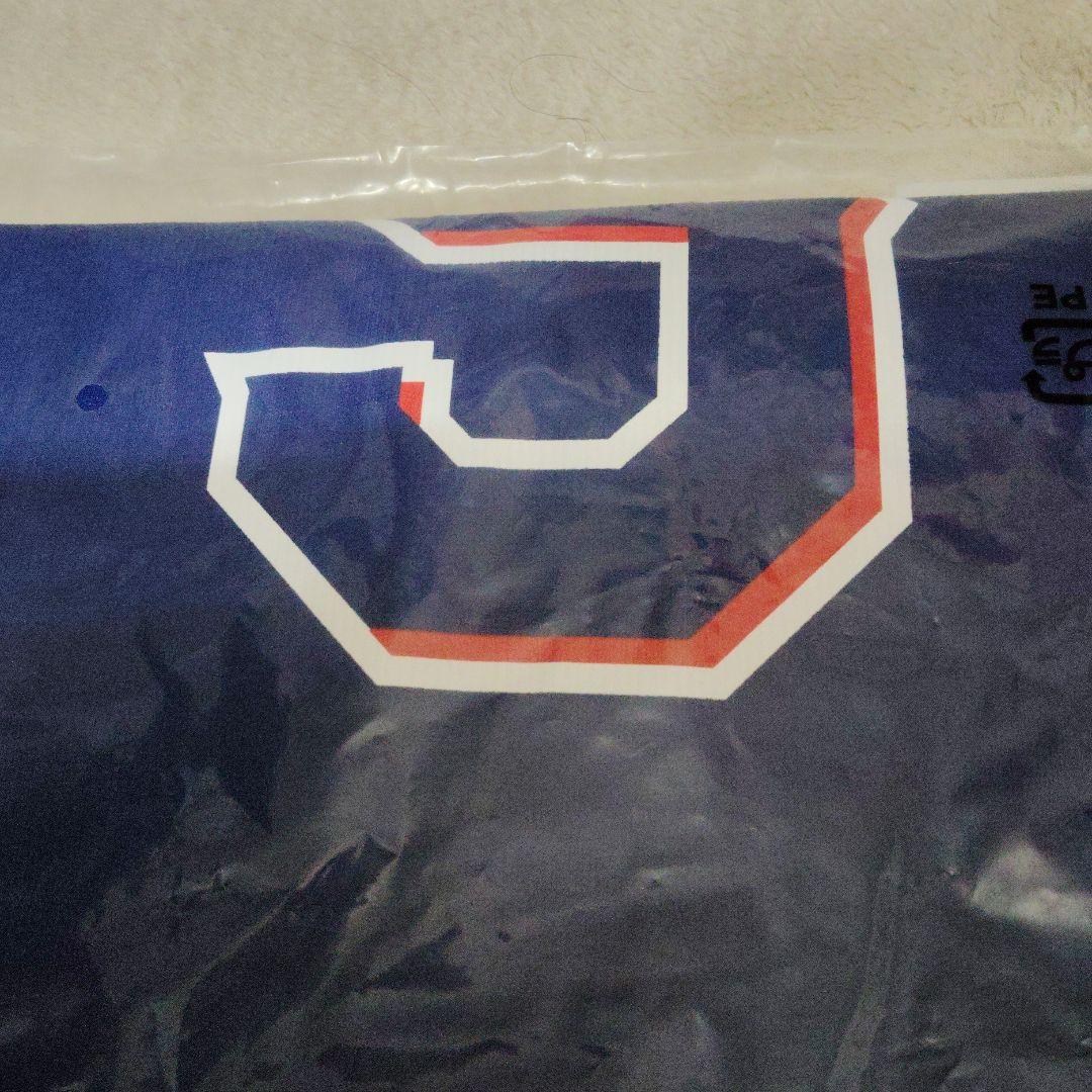 ☆中日ドラゴンズ　石伊雄太選手　サポーターズユニホーム　ビジターVrフリーサイズ