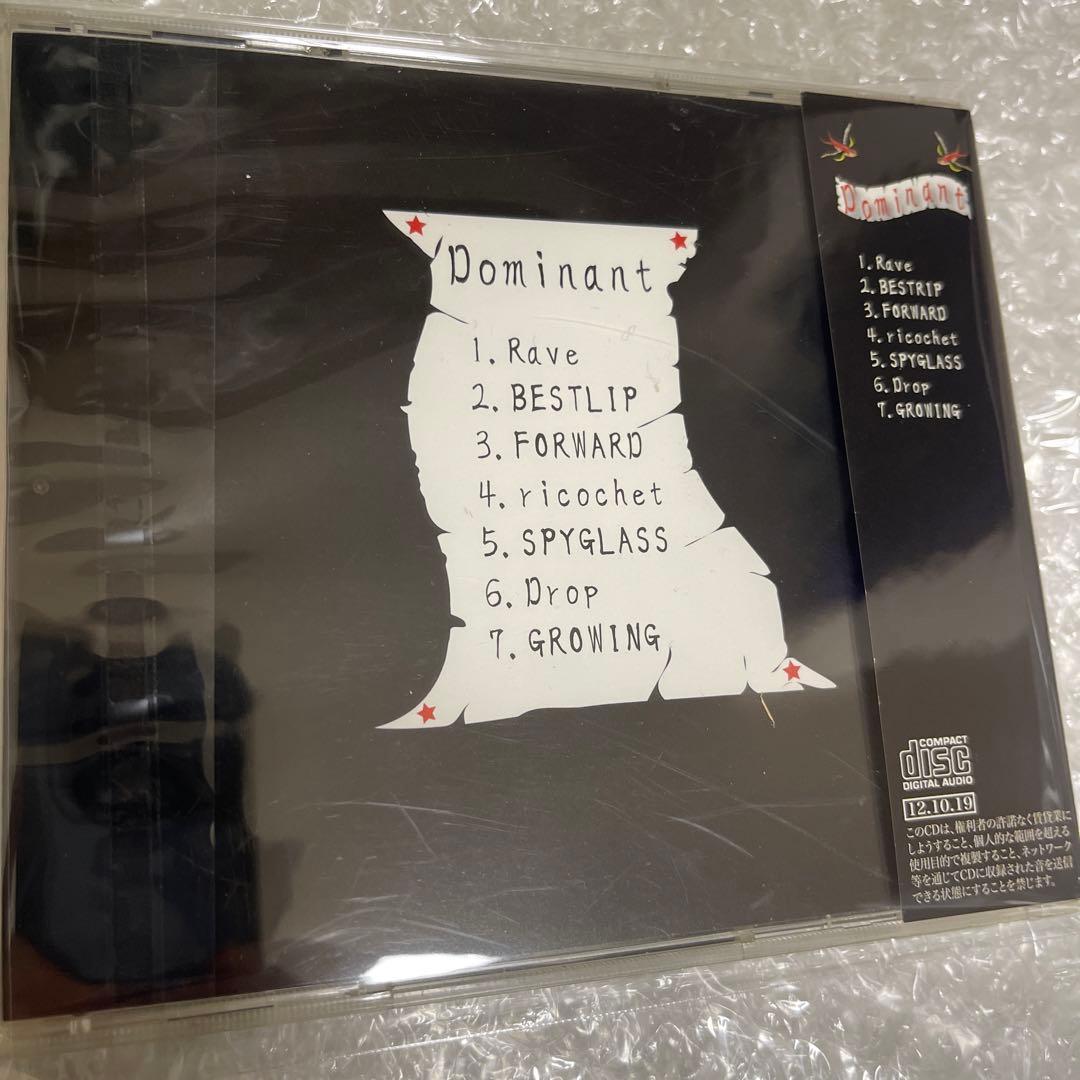 the ViG Dominant CD 鳴風　ASH DA HERO