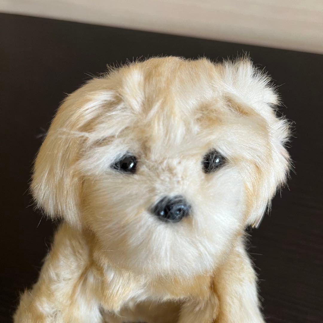 新品 kitamura ty BEANIE BABIES SENNA センナ君