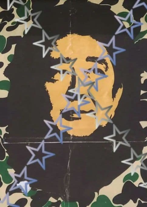 ABE 　マットポスター　ダークカモ