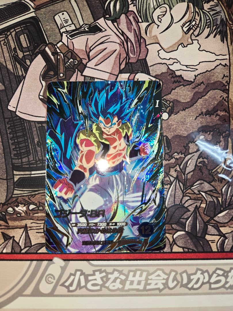 DBSDV GDRまとめ売り