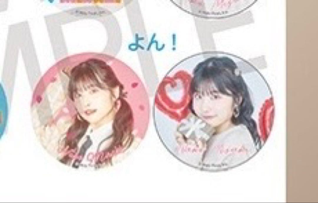 岬なこ　缶バッチ　65個　おまけ1個 ファンクラブ・イベント限定グッズ セット