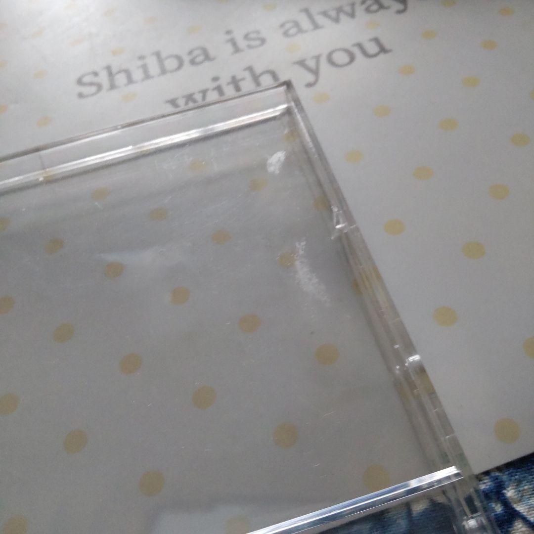 完品 未使用 スラムダンク 1998年 卓上カレンダー　井上雄彦