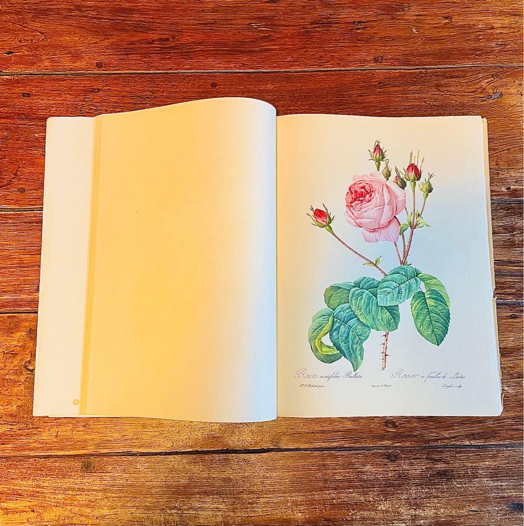 超希少！50年代洋書 ピエール ジョゼフルドゥーテ アンティーク薔薇画集