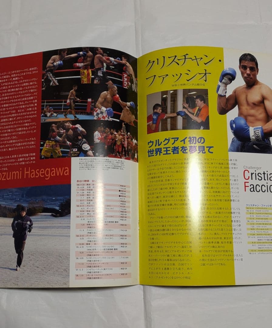 ボクシング パンフレット 長谷川穂積×ファッシオ他 Boxing Program