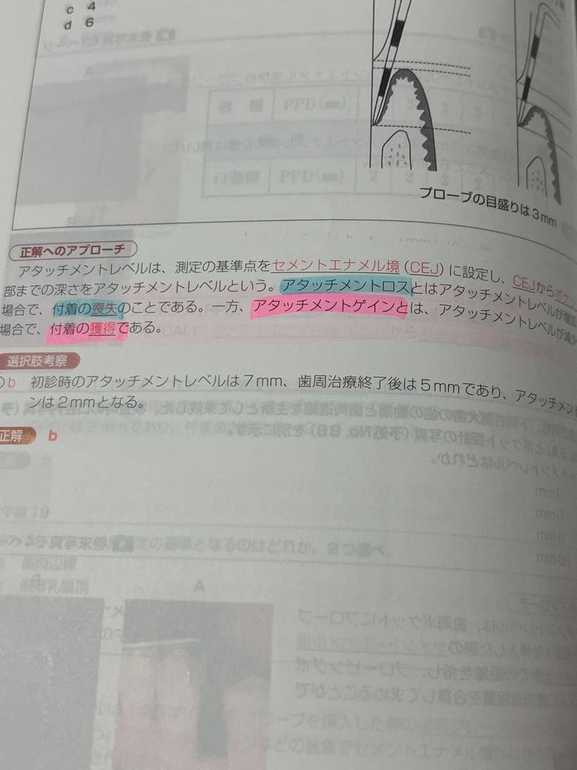 ⚠️最終値下げ Complat+DH 歯科衛生士 国家試験完全攻略 2026年版