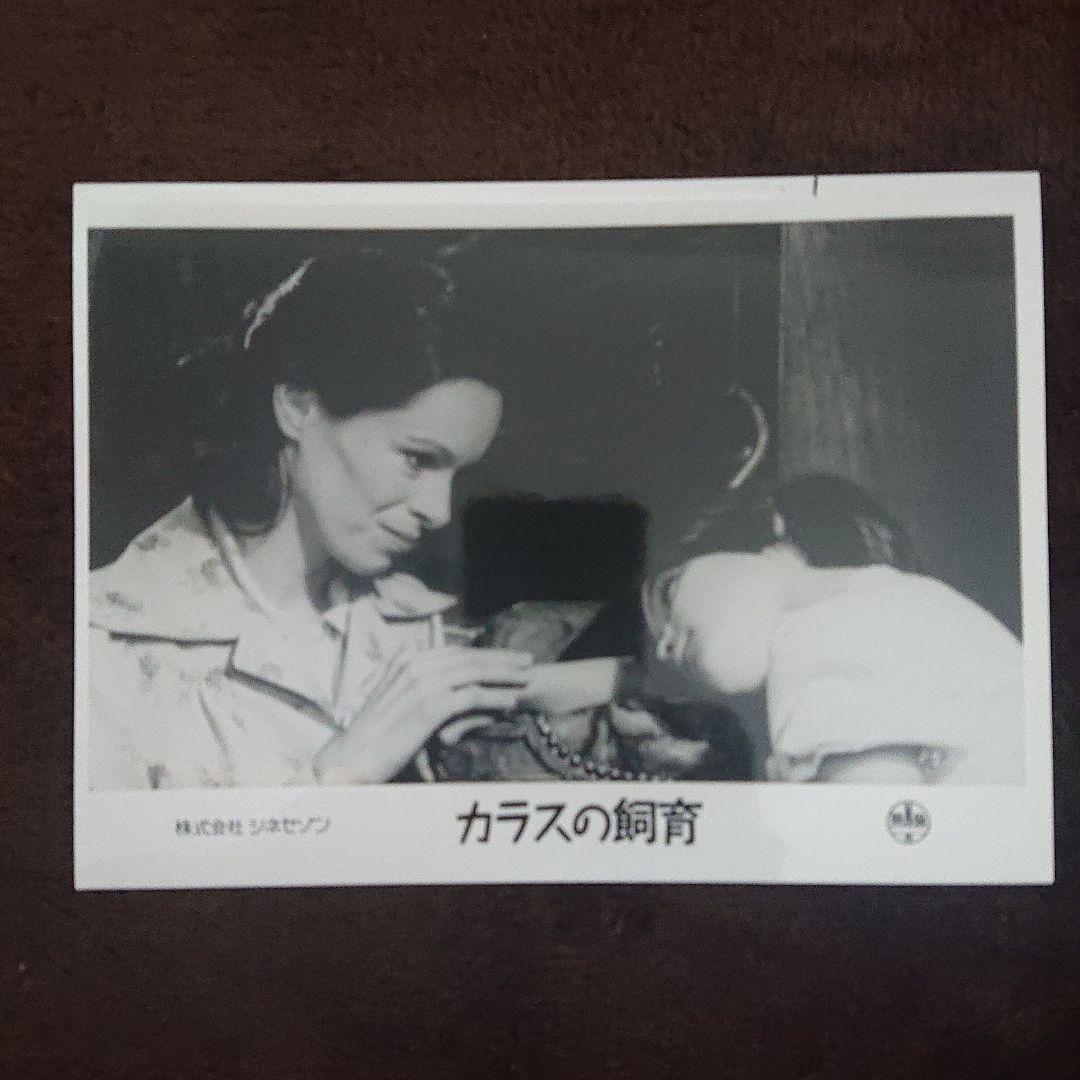 カラスの飼育 アナトレント ロビーカード