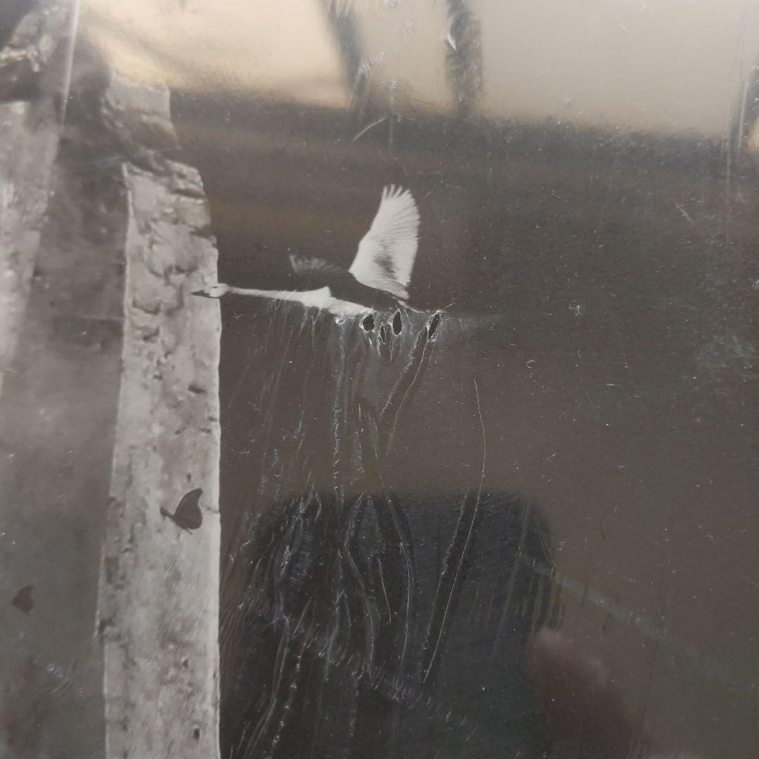 ミュージック BUCK-TICK/TOUR2020 ABRACADABRA ON SCREEN