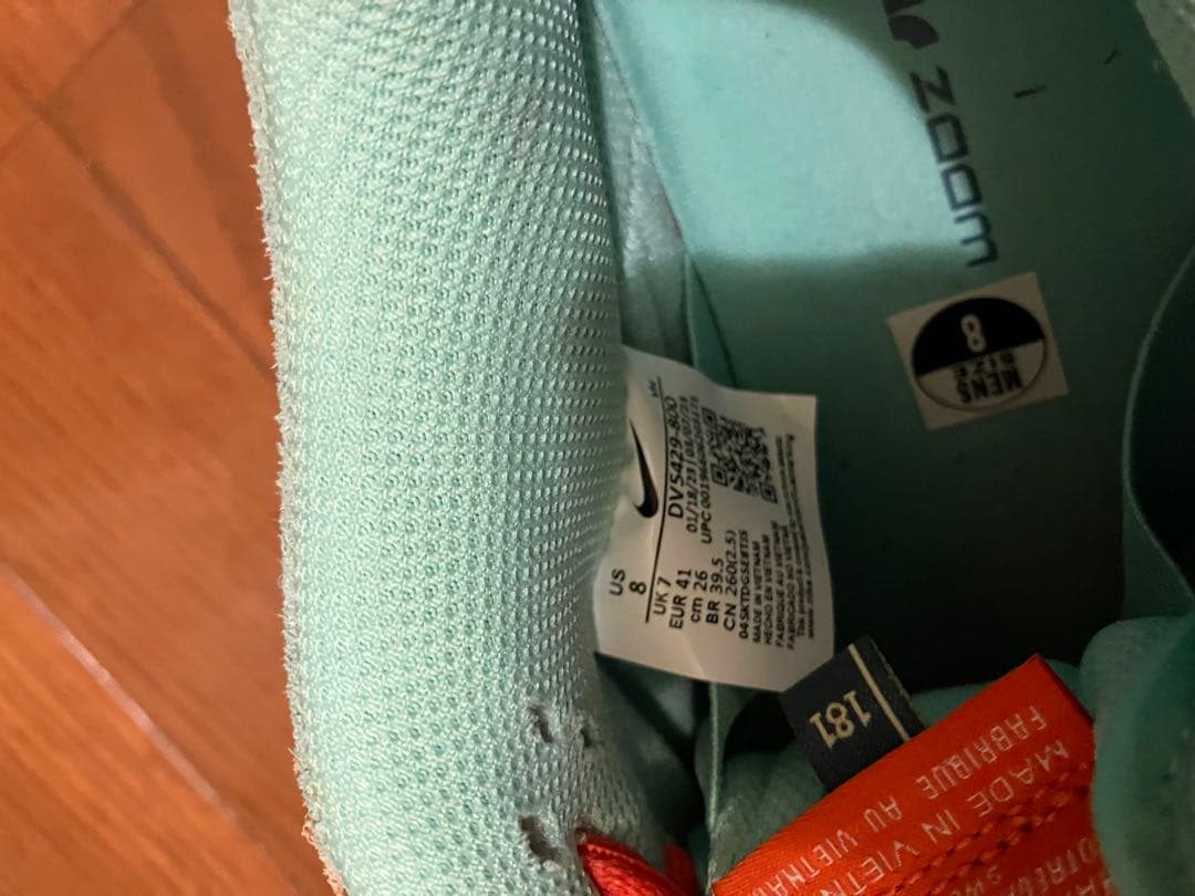 スケートボード Nike SB dunk