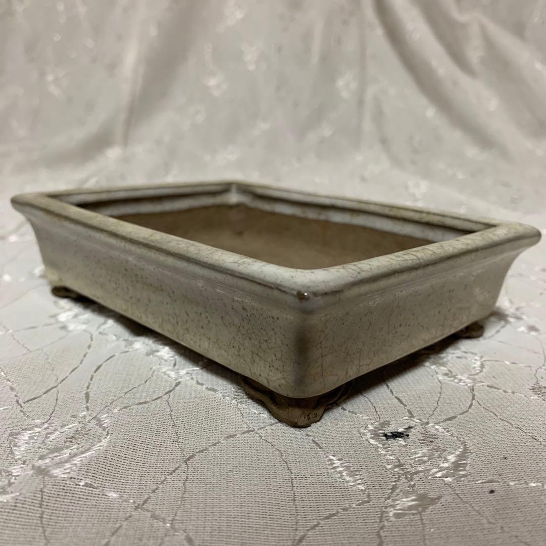 寿悦　長方　盆栽鉢