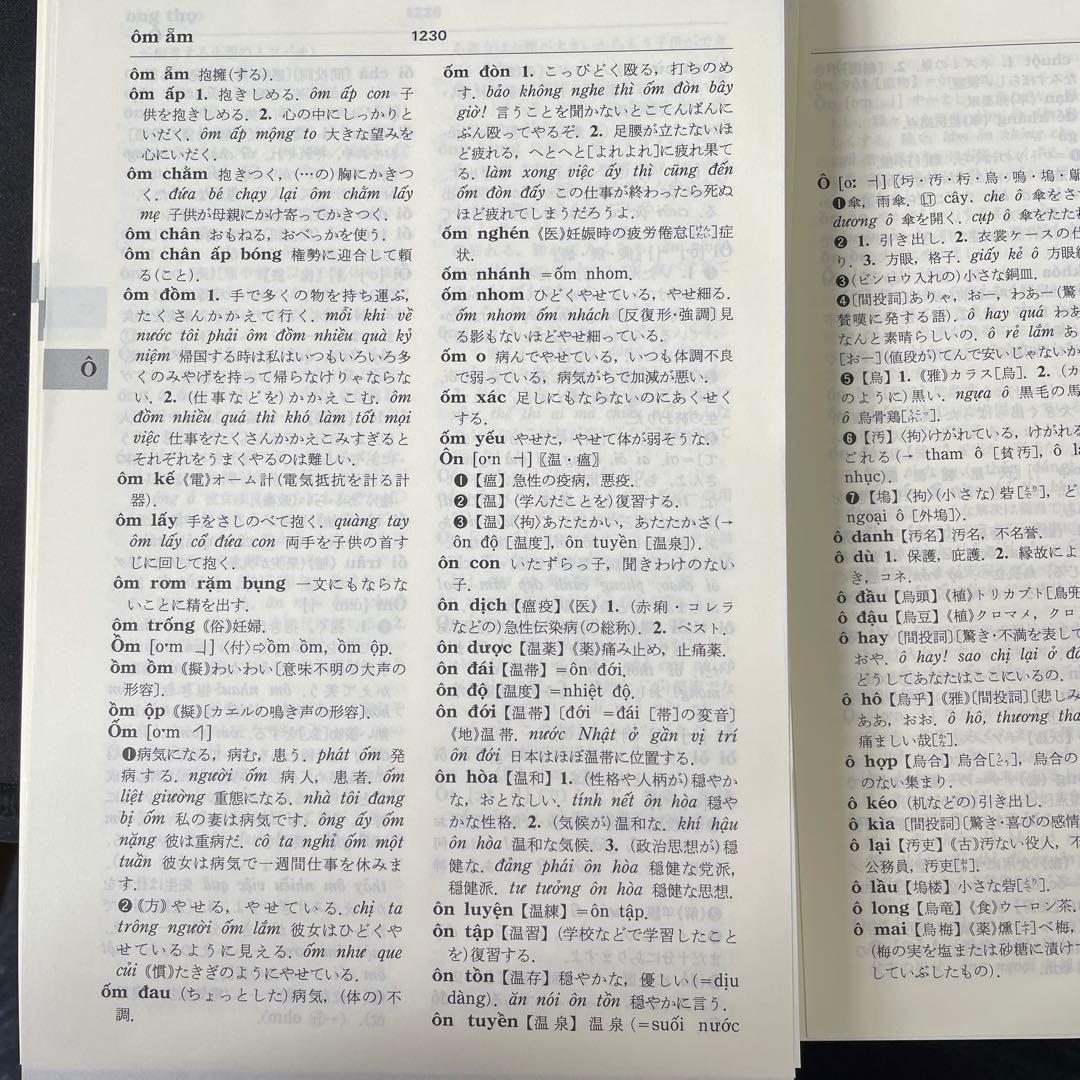 詳解ベトナム語辞典　自炊用　スキャン用