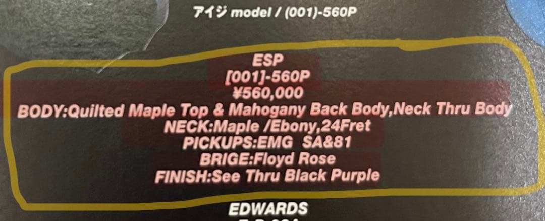 ESPエレキギター PIERROTアイジモデル(001)-560P 定価56万円