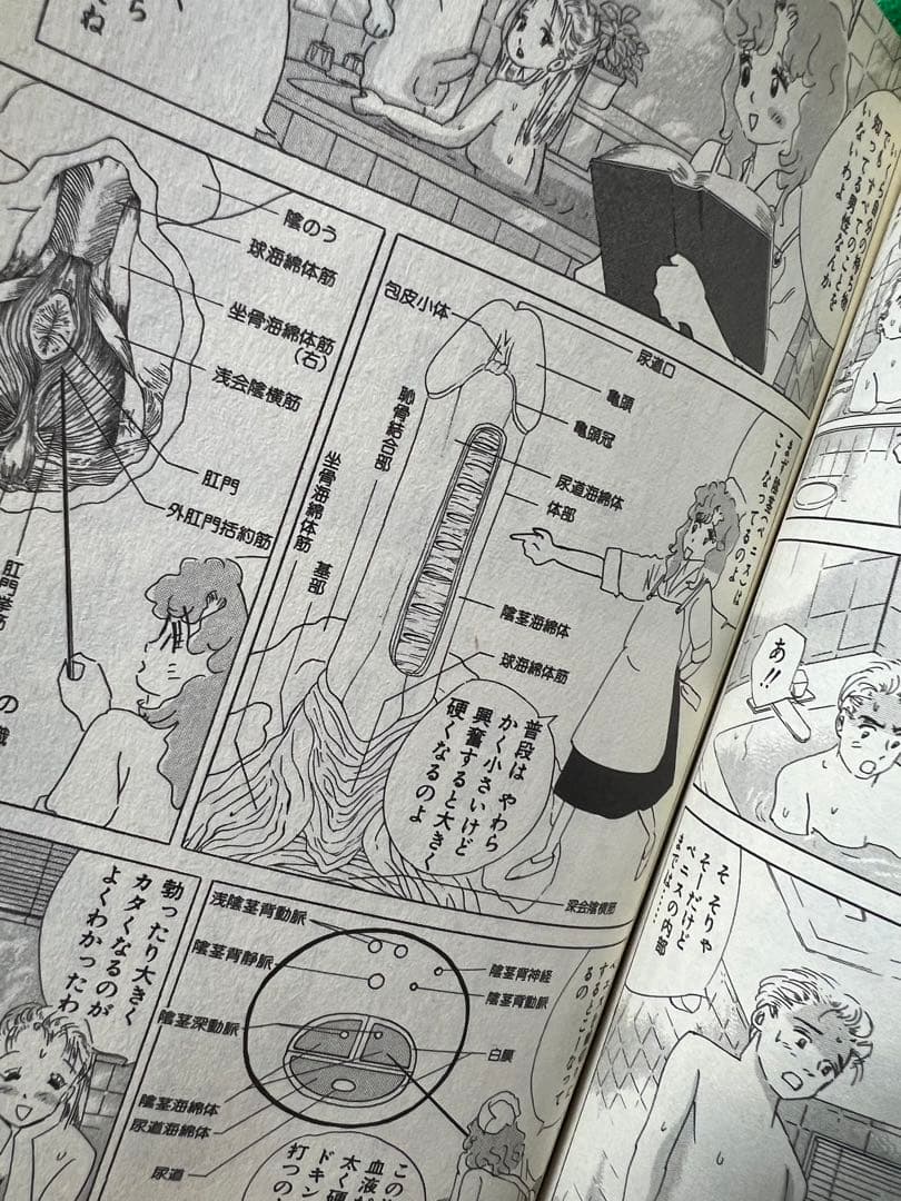 【実業之日本社】快楽プレイの裏技4冊セット / 画)谷間夢路　作)今戸悠