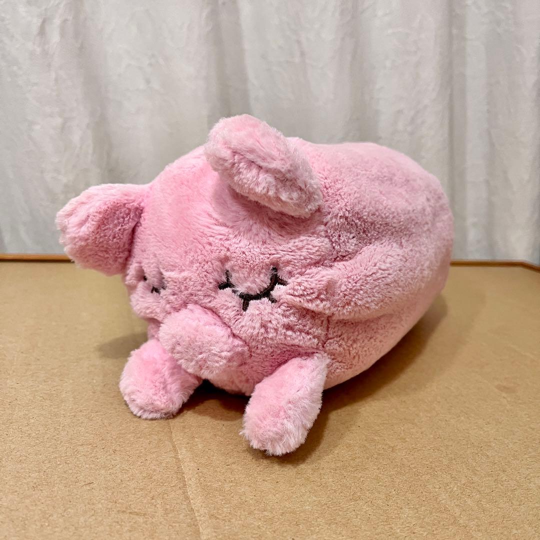 ぶたしゃん ぬいぐるみ 宮脇咲良 朝長美桜 みおたす