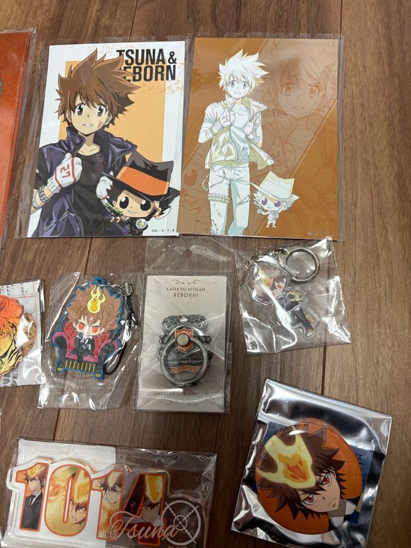 沢田綱吉　グッズセット　REBORN