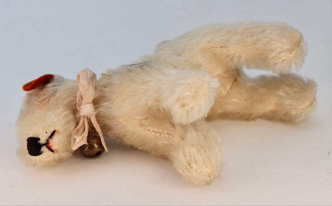 1954 FoxyTerrier シュタイフ・ビンテージ品 10cm ボタン無し