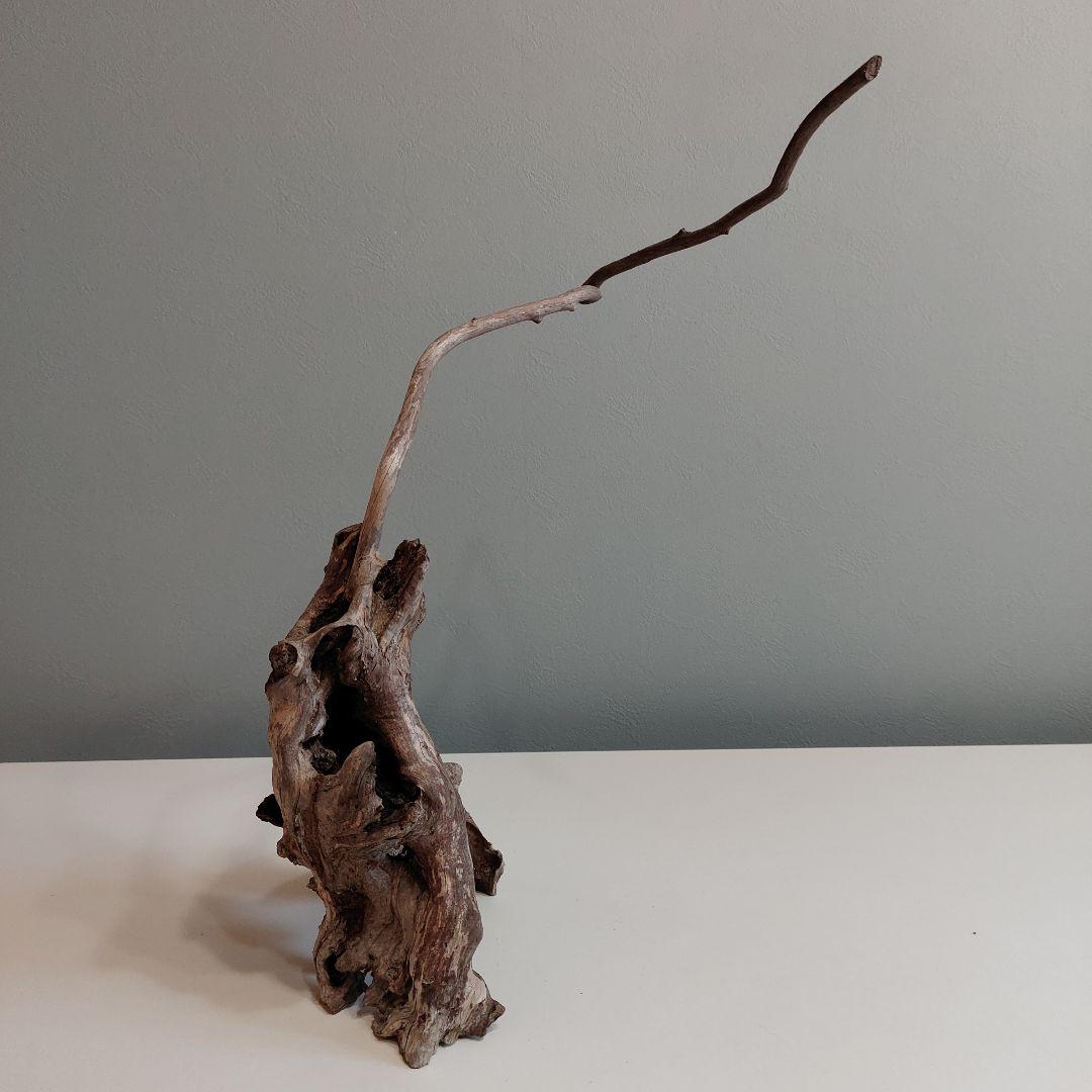 ホーンウッド アクアリウム 爬虫類 登り木 流木 w22×d12×h27