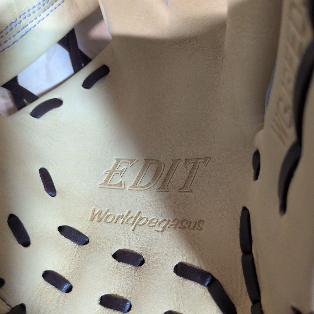 ワールドペガサス 野球 子供用 少年軟式グラブ: オールラウンド用