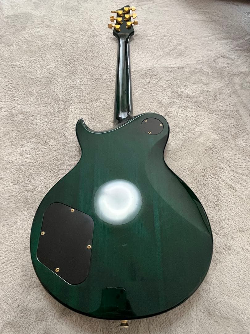 ギター Aira Pro II pe-509 