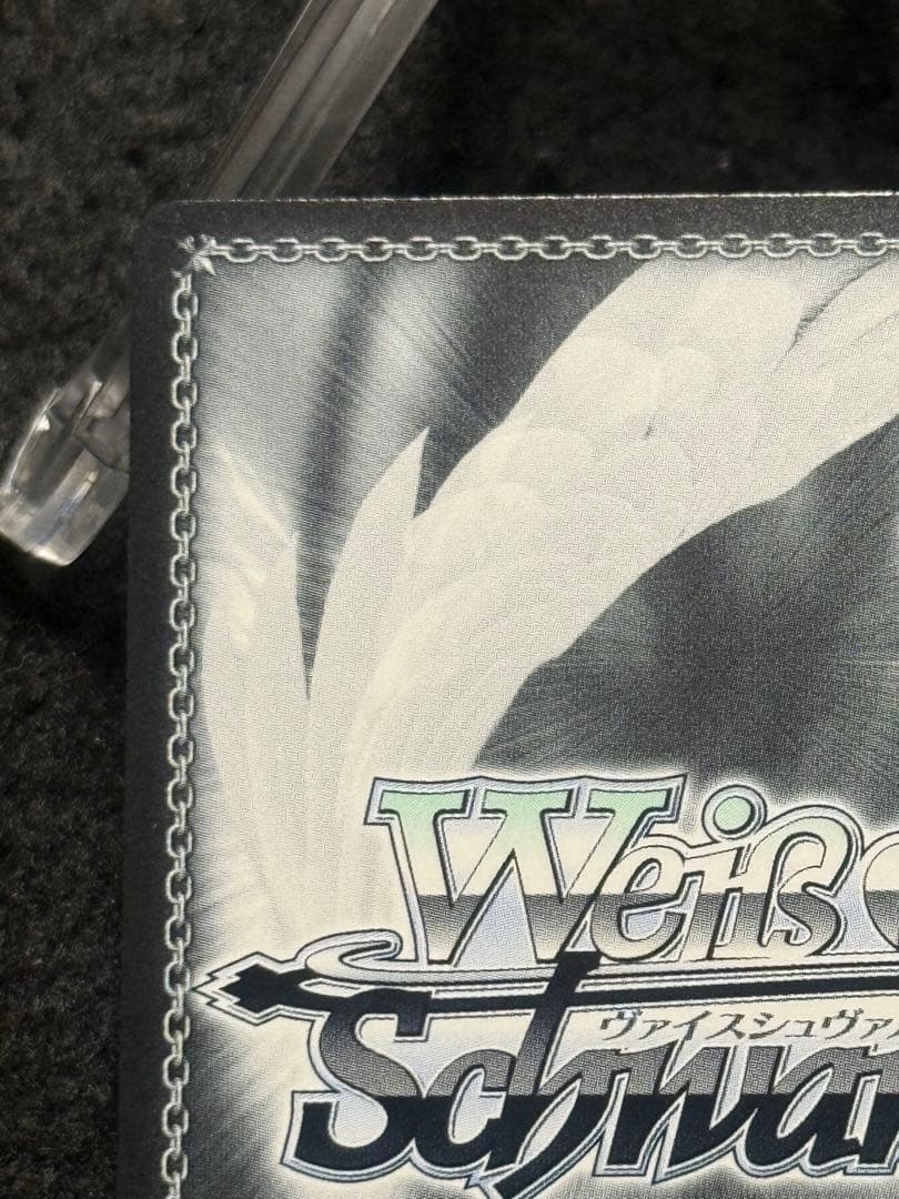 【マグネットローダー付き】キアサージ　sp