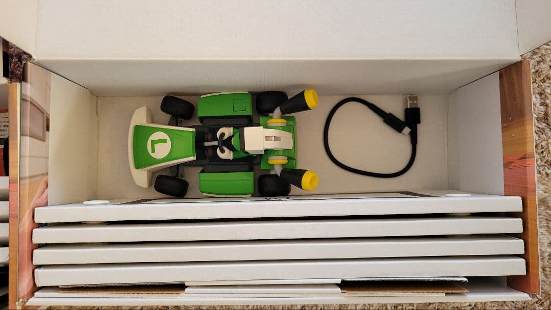 マリオカート ライブ ホームサーキット　マリオ　ルイージ