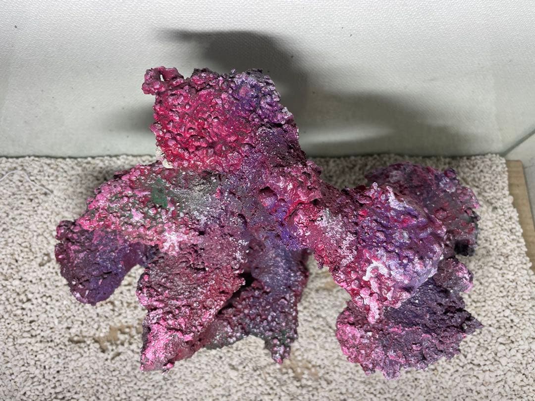 人工ライブロック　SHR27 アク抜き済み安心塗料使用