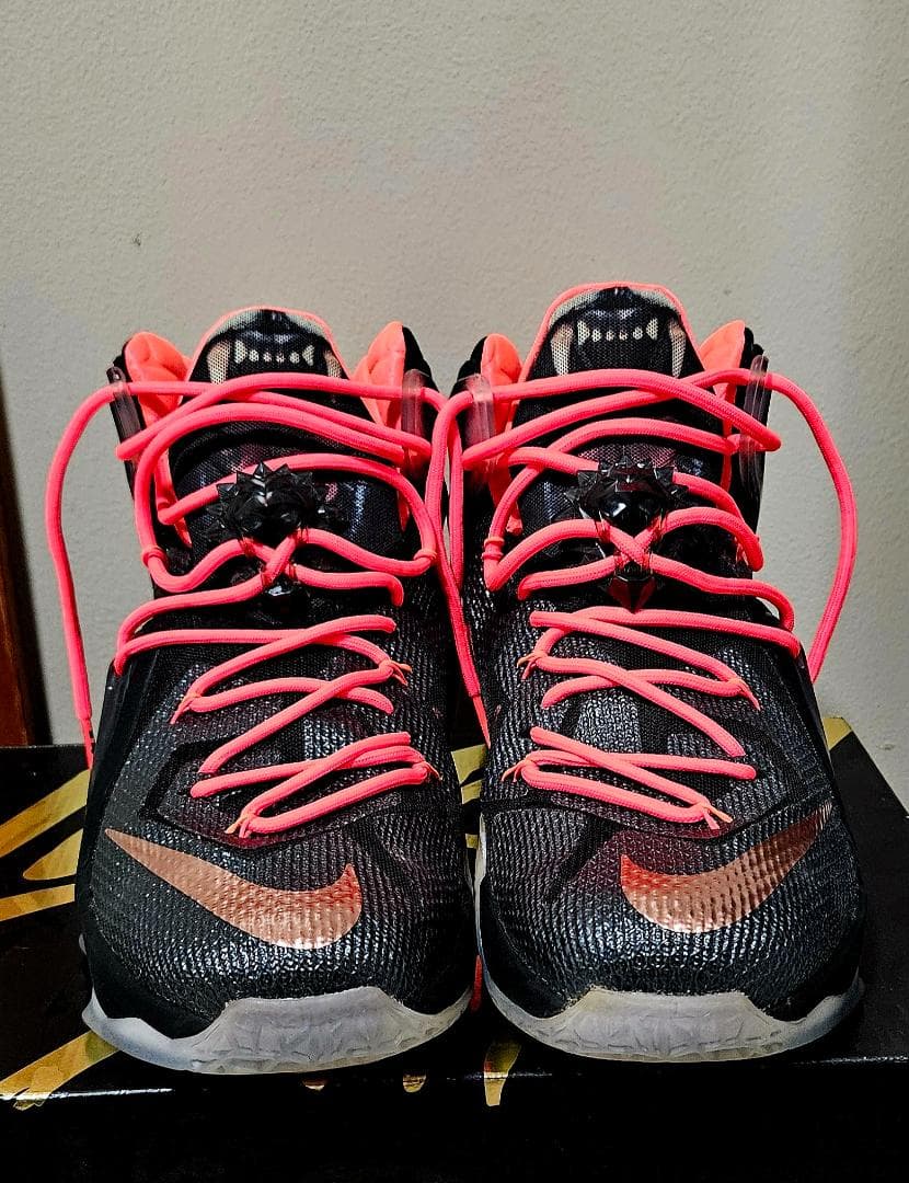 新品未使用Nike LeBron XII ELITE 12 31cm