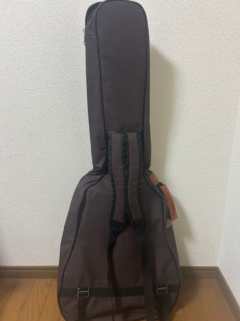 エピフォン　レスポールギター　Epiphone Shinorin