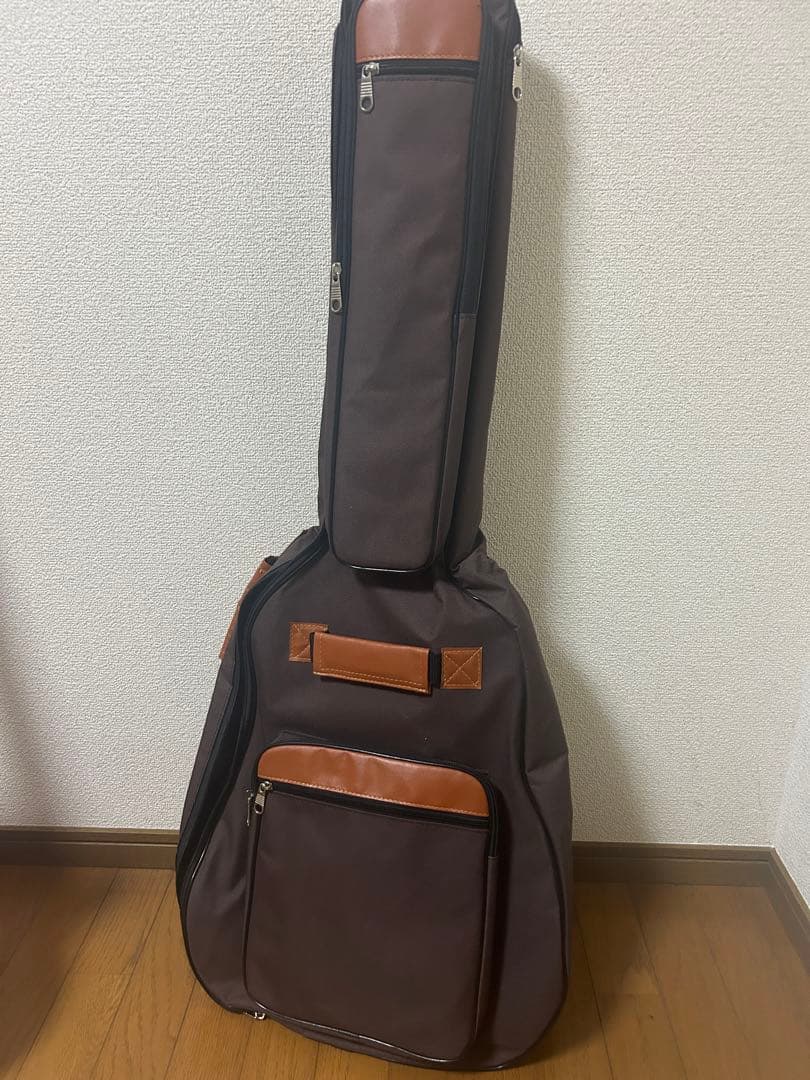 エピフォン　レスポールギター　Epiphone Shinorin