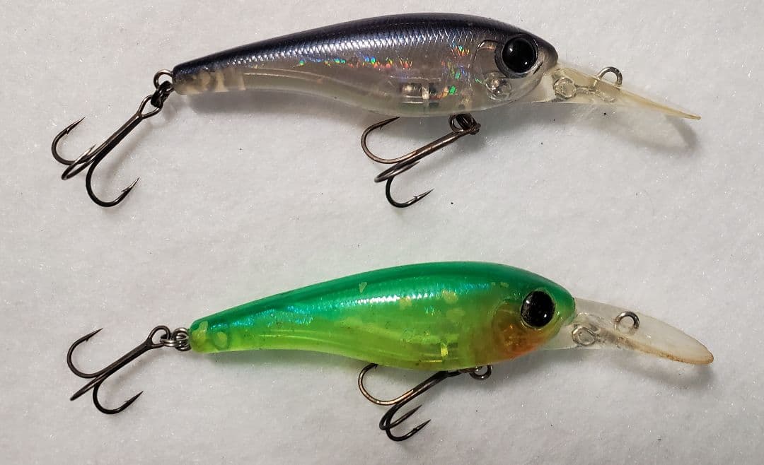 クオン　フローシャッド　セット