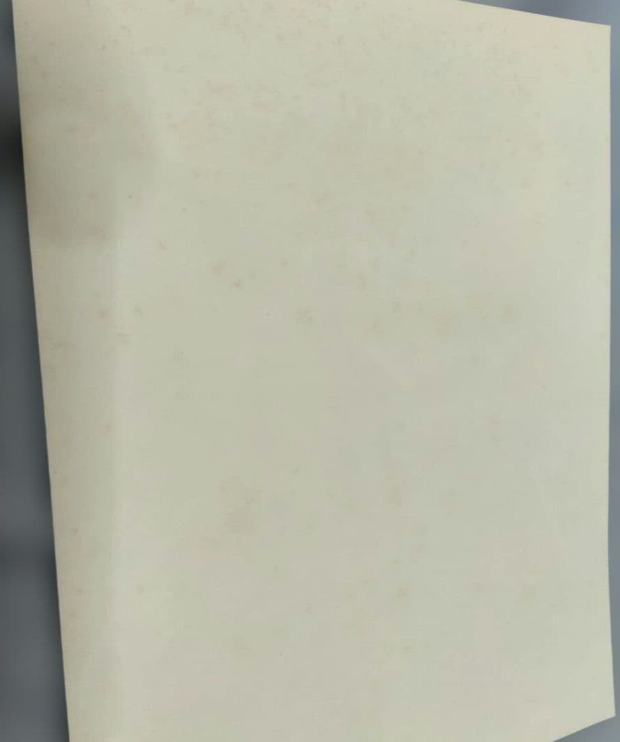 NINJA GAIDEN　バインダー