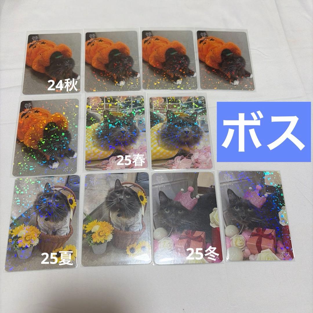 猫カフェ mocha 町田 にゃんずトレカ