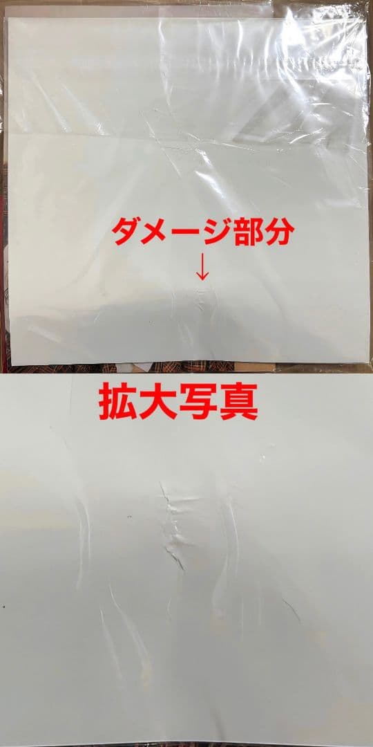 佐野元春 & THE COYOTE BAND HAYABUSA JET Ⅱ 新品