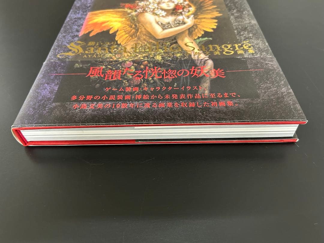 小島文美 画集 緋いユリ Santa Lilio Sangre