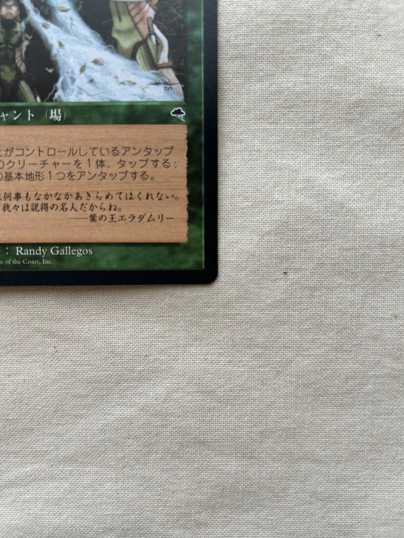 大地の知識　MTG