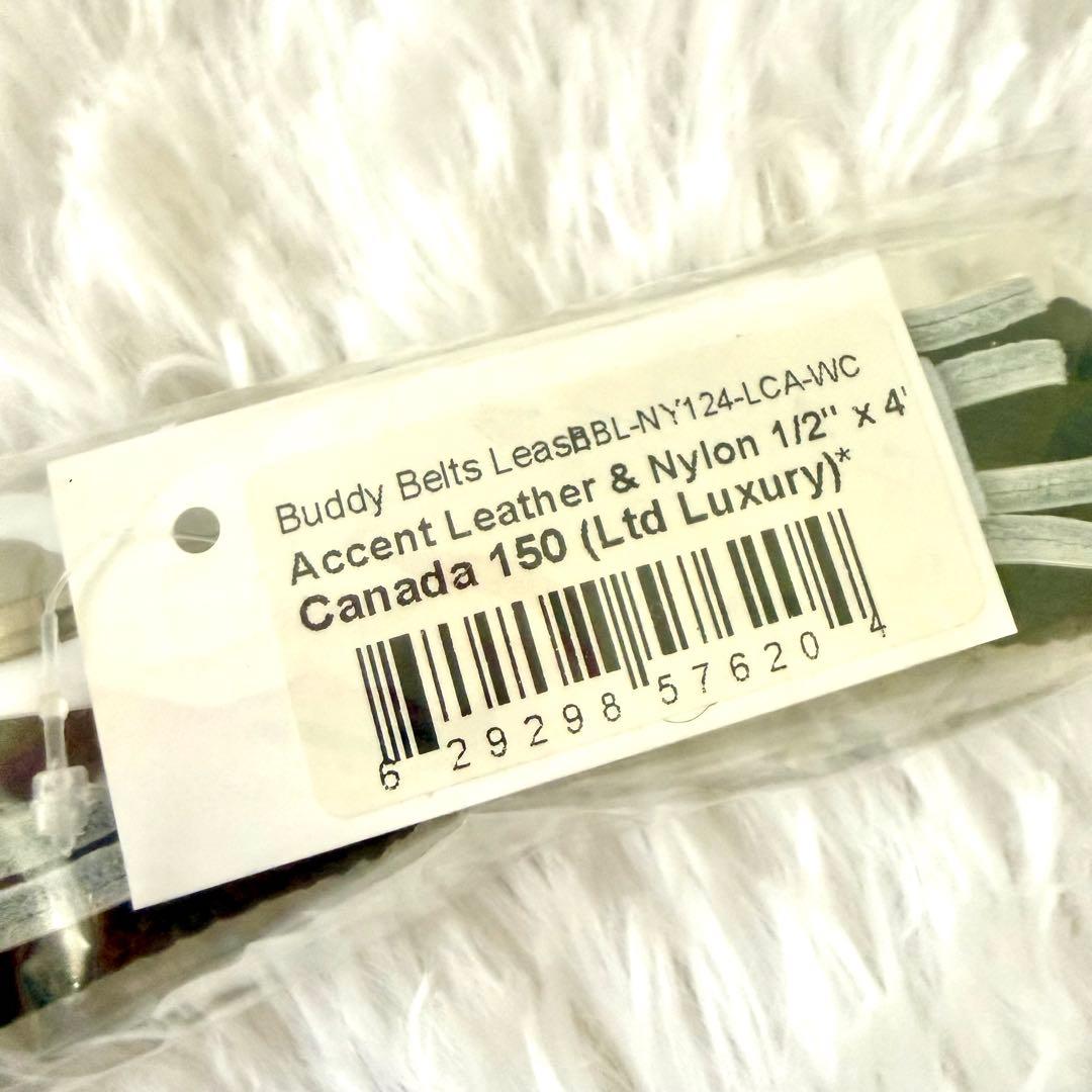 [新品] BBベルト 2.5号 スワロフスキー付き+リード セット*ホワイト