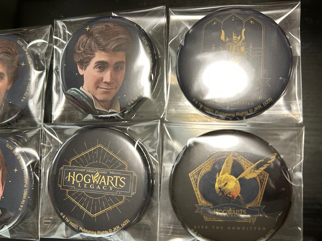 Hogwarts Legacy 缶バッジ 8個セット
