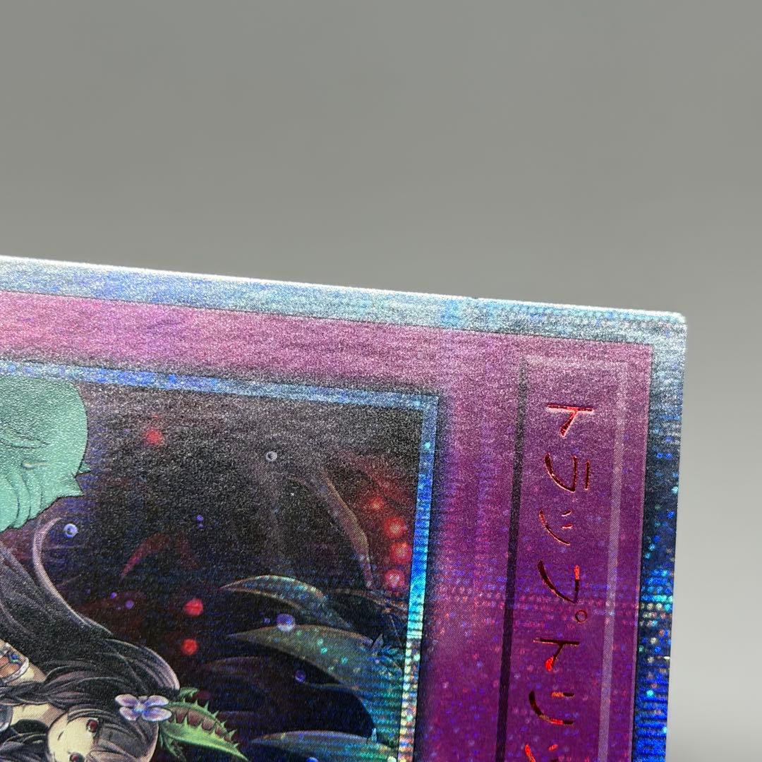 トラップトリック　20th