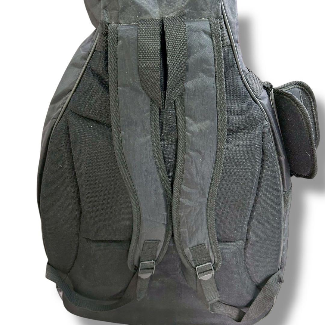 Warwick Alien Deluxe 4弦 アコースティックベース