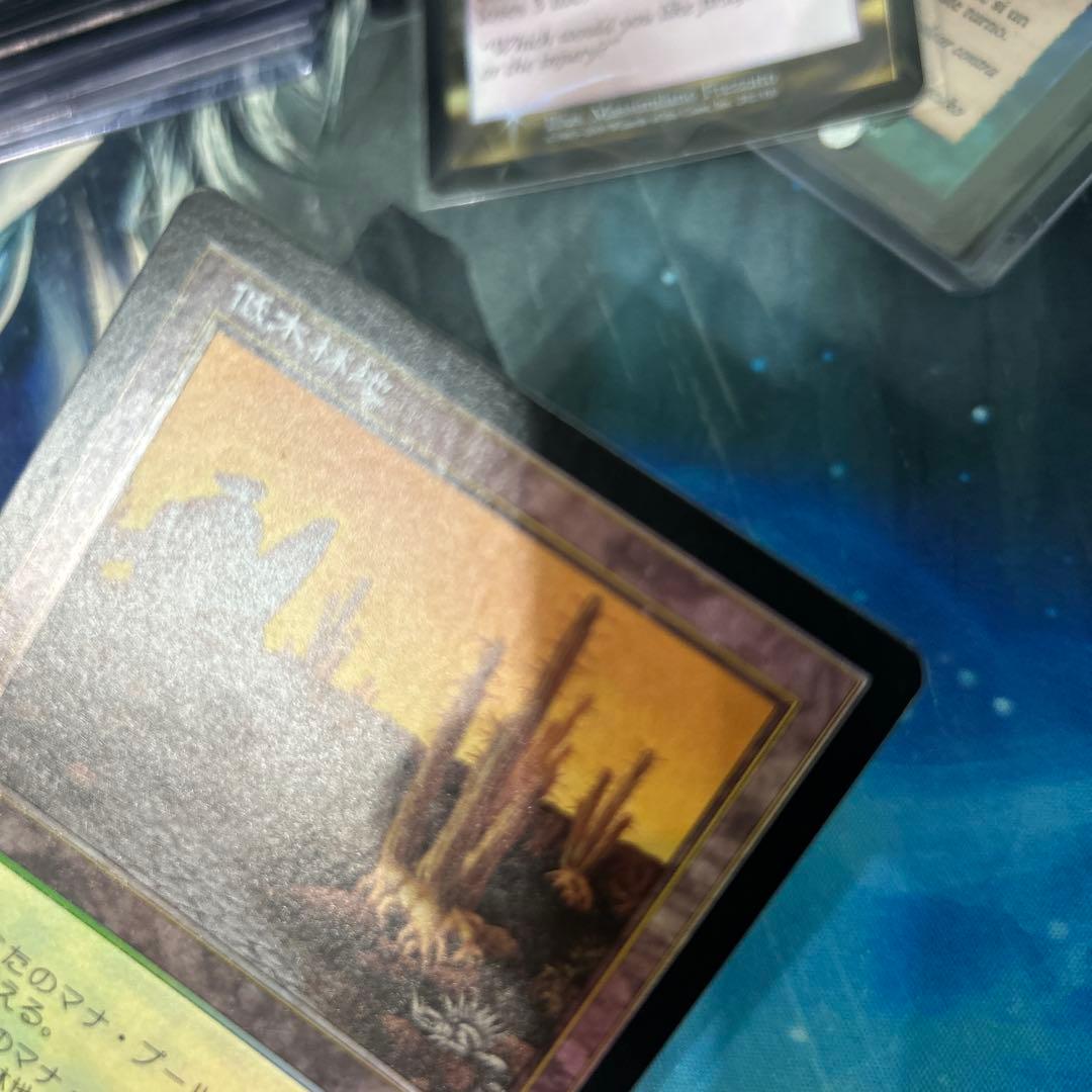 mtg Foil 低木林地/Brushland》[7ED] 日本語 jp